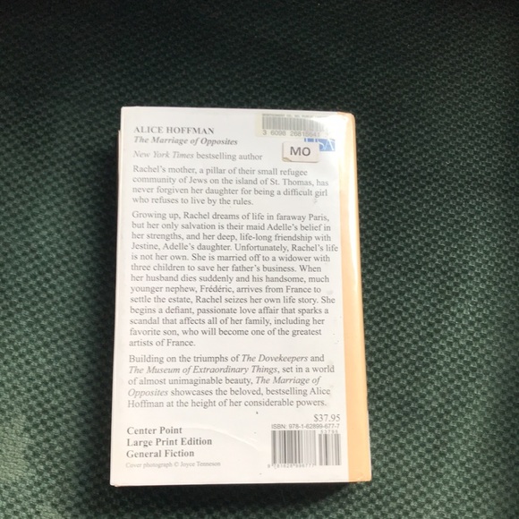 “The marriage of opposites“ A novel by Alice Hoffman - Picture 2 of 16